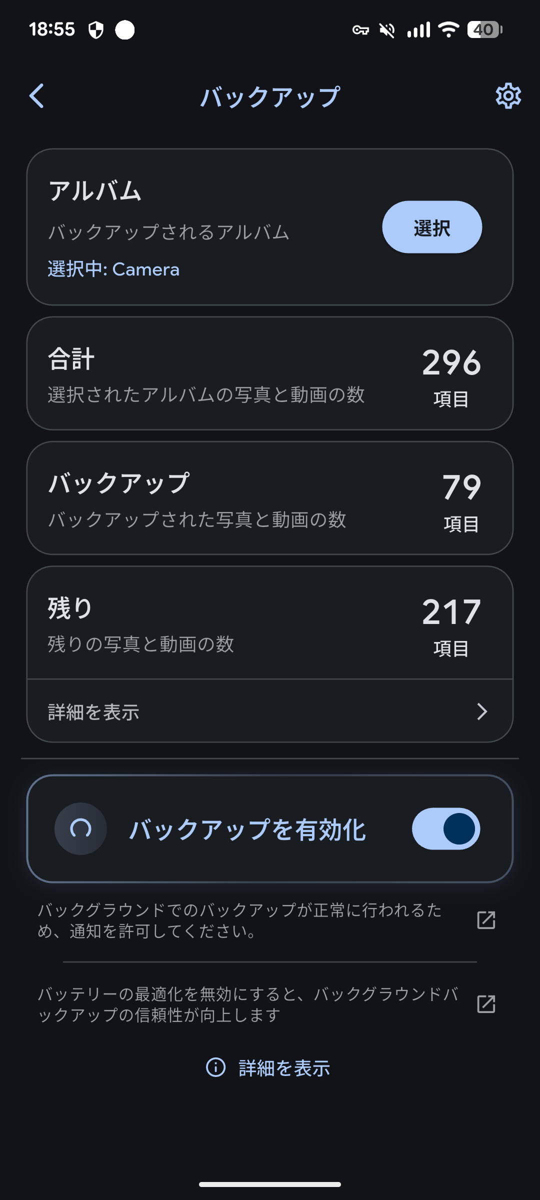 Immich アプリのバックアップの画面。合計 296、バックアップ済み 79、残り 217