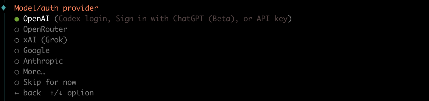 Model/auth provider の一覧。OpenAI が先頭で選ばれていて、OpenRouter、xAI、Google、Anthropic と続く