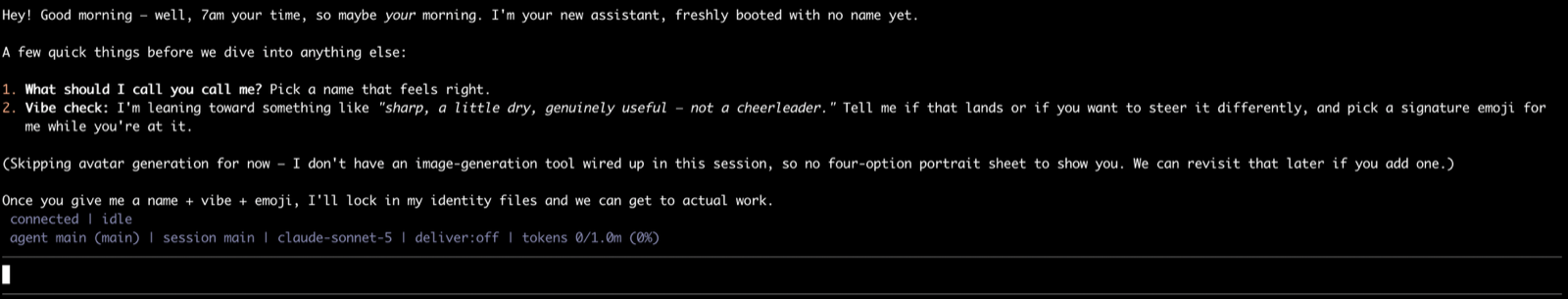TUI の最初の画面。エージェントが名前と口調を決めようと話しかけてきている。下に connected | idle、agent main (main) | session main | claude-sonnet-5 と出ている